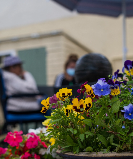 flowers outside