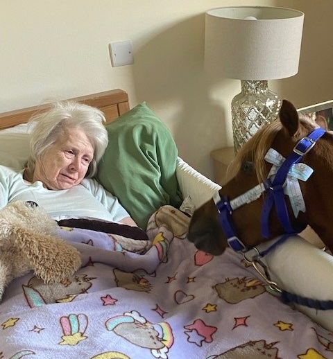 resident with miniature horse