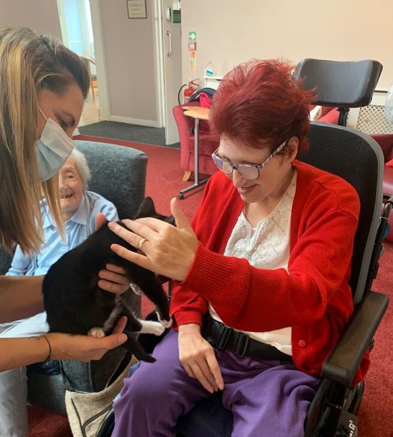 care home petting a cat