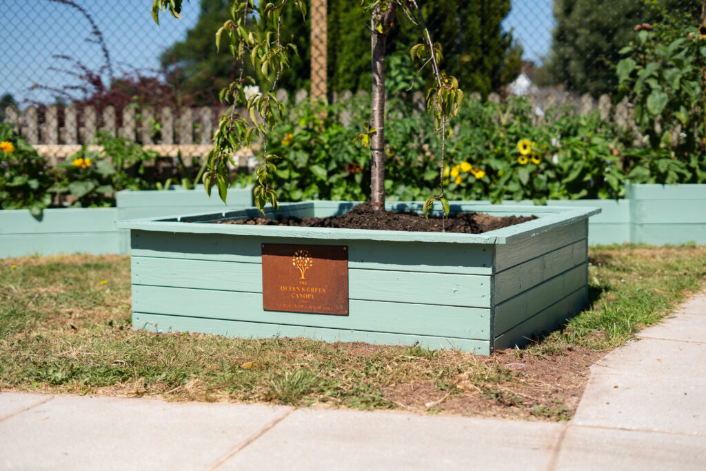 A flowerbed in the garden of The Old Rectory, Exeter
