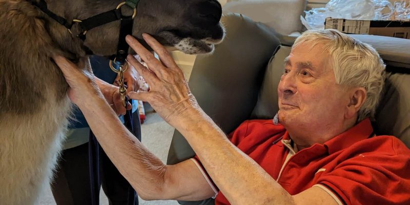 Old Rectory care home resident, Charlie, greets a visiting llama