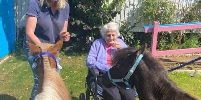 resident and Margot with miniature horse