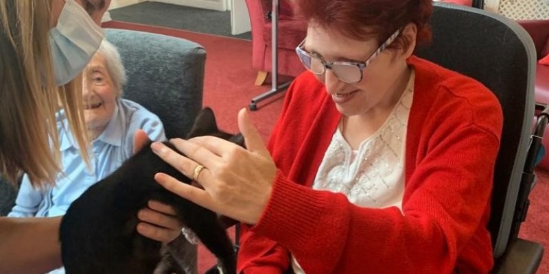 care home petting a cat